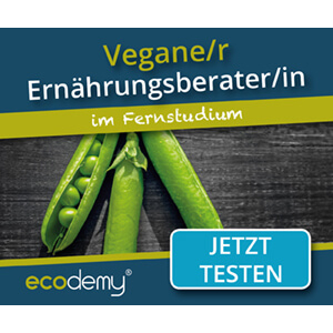 Vegane Online Kurse - Vegan Abnehmen, Zunehmen, Kochen, Genießen