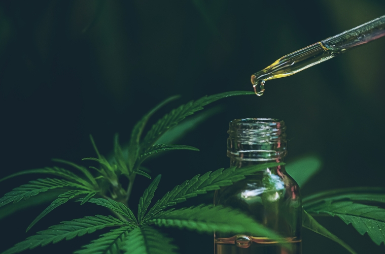 CBD Blüten online kaufen: Worauf du achten solltest und wie du die besten Angebote findest